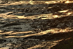 IMG_1874a